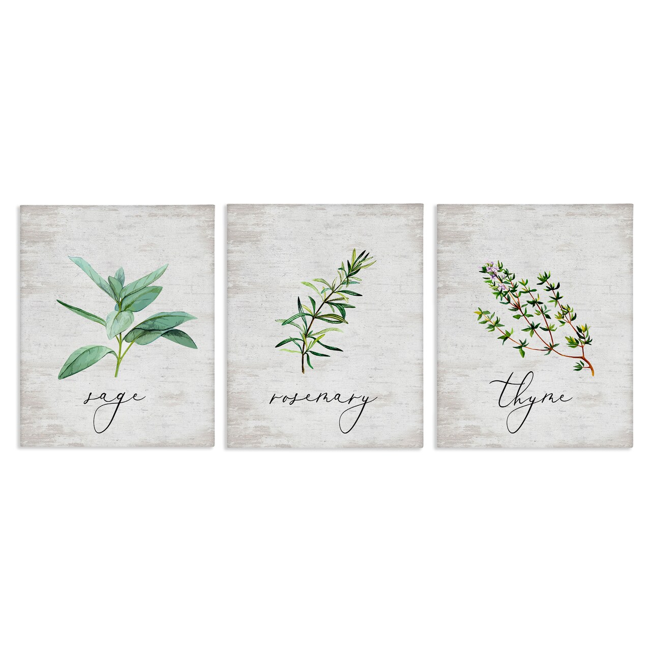 Stupell Industries Charming Summer Kitchen Herbs 3pc Canvas Wall Art Set Design by Lettered and Lined